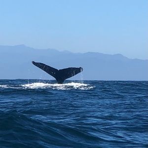 Meet your Posher, Stacie